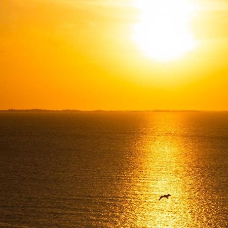 Cocooning Vue Mer, Appart A 300 M De La Plage. Apartment Гранвил Екстериор снимка